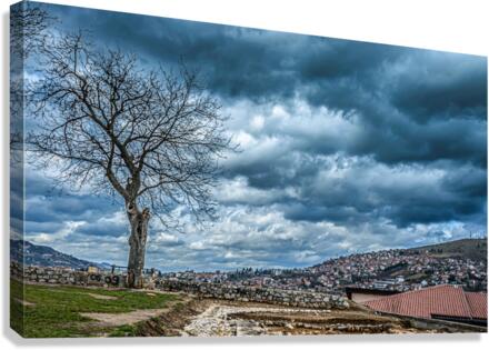 Tree under heavy clouds Canvas Print