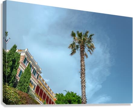 Palm Tree Canvas Print