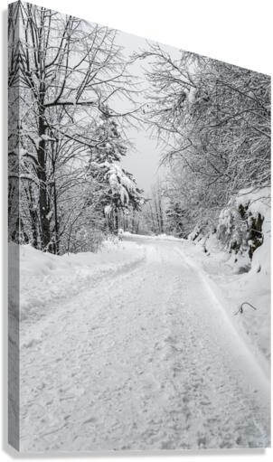 Mountain trail Canvas Print