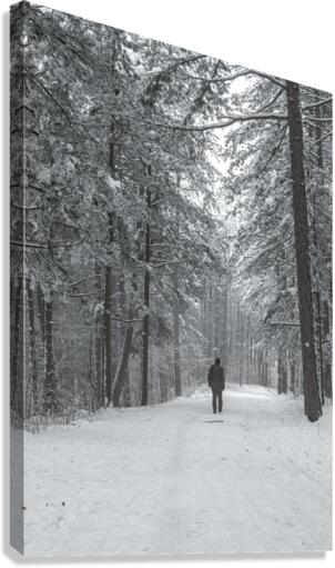 Mountain trail Canvas Print