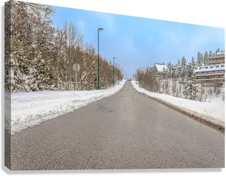 Mountain road Canvas Print