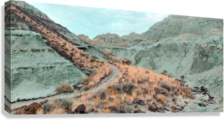 Blue Brink Canvas Print