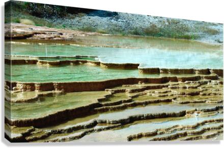 Swargarohini Canvas Print