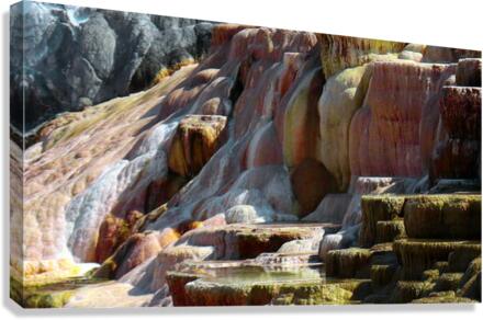 Rainbow Run Canvas Print