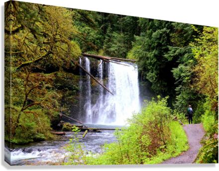 Upper North Falls Canvas Print