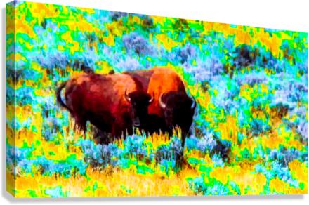 Sage Bison Canvas Print