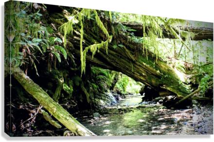 Hunt for Hyperion Canvas Print