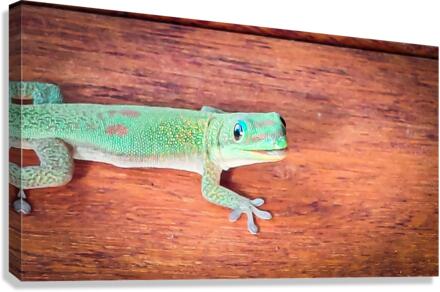 Day Gecko Canvas Print