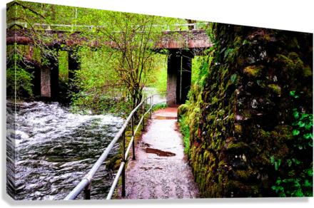 Over and Under Canvas Print