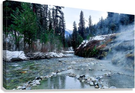 Spring Falling on River Canvas Print