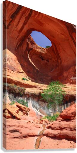 Bowtie Arch Canvas Print