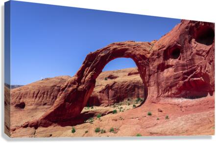 Corona Arch Canvas Print