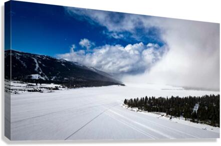 Winter Storm Canvas Print