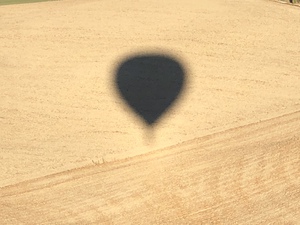 3A23163C 80D0 43F1 A1B7 C8EA9449131C