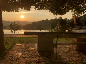 A481CE8B A1C4 43BE 9C77 16288824BC3C