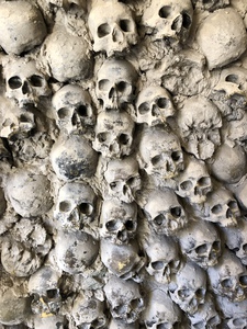 D2E0519A 459B 4308 95CC 78F2AFE67A72