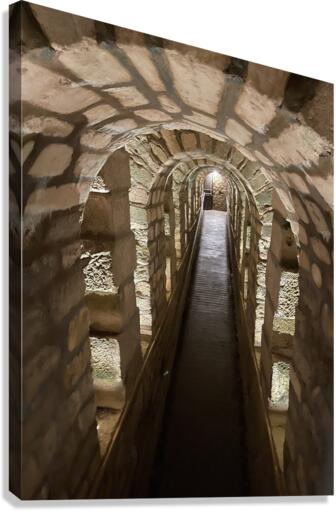 67A6056C 396A 4525 A549 736CEDDCB009 Canvas Print