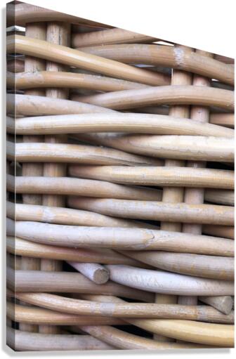 398739AB 84A0 4128 BB16 B4385DE17700 Canvas Print