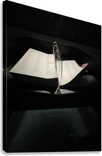 CAA9AAAA 71F6 4572 B0B1 AAD53C066C72 Canvas Print