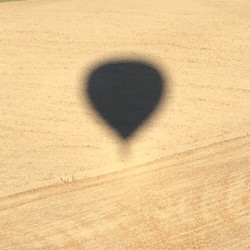 3A23163C 80D0 43F1 A1B7 C8EA9449131C