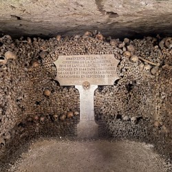 8FB5FE2C D77E 4750 B0BF 48DF264815C0