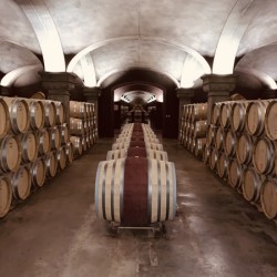 9F00231A 7A8C 4510 9462 445A96A9B93A