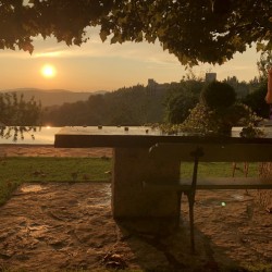 A481CE8B A1C4 43BE 9C77 16288824BC3C