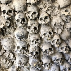 D2E0519A 459B 4308 95CC 78F2AFE67A72