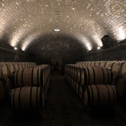 DB111315 A980 4697 985F AF621435932A