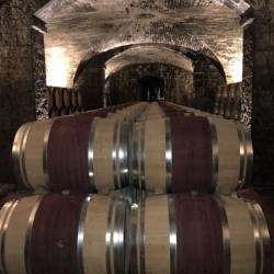 F021B21F 779E 4095 8607 8AAA0501D658