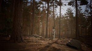 A Walk into the Forest