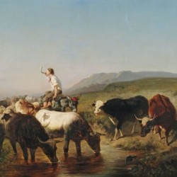 Adolf Schreyer 