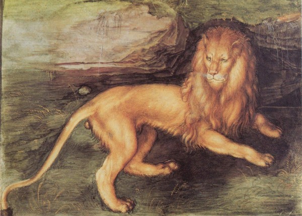 Lion Print