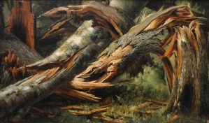 Fallen tree Print