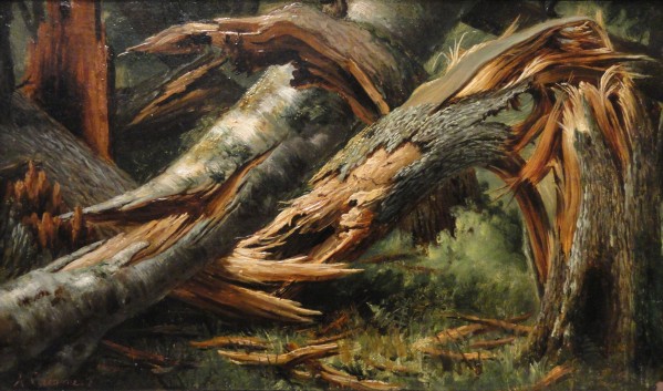 Fallen tree Print