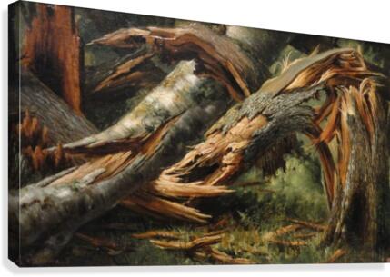 Fallen tree Canvas Print