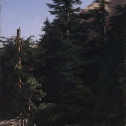 Alexandre Calame 