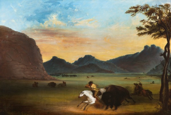 Buffalo Hunt Print