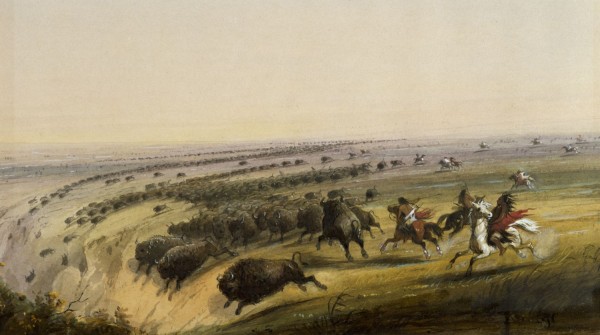 Hunting Buffalo Print