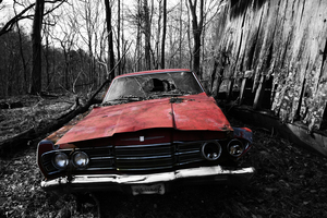 Forgotten Ride
