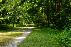The Road Less Traveled