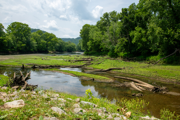 Caney Fork Print