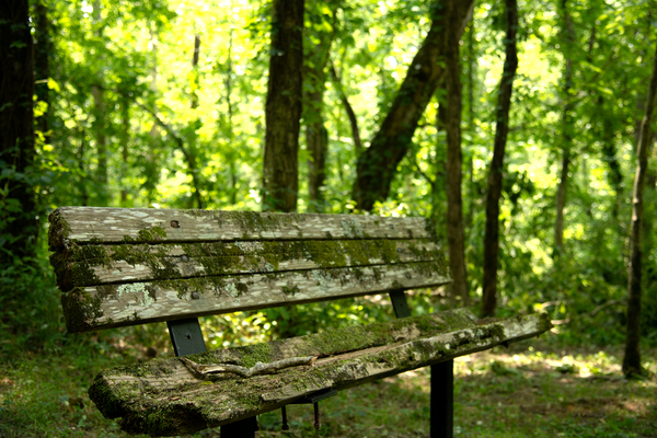 Lonely Bench Print