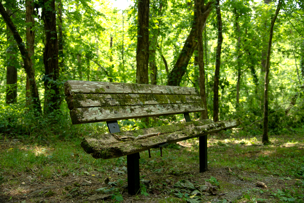 Lonely Bench 2 Print