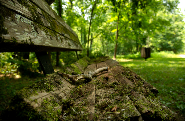 Lonely Bench 3 Print