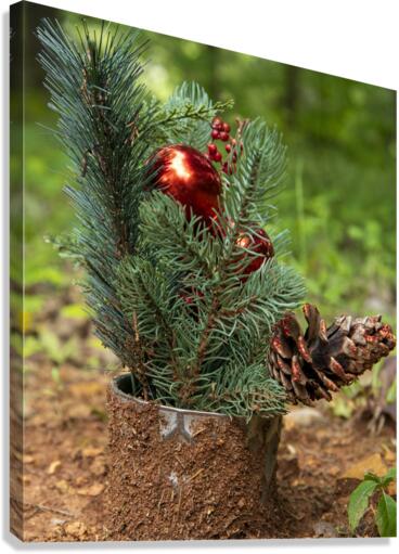 Green  Red Canvas Print