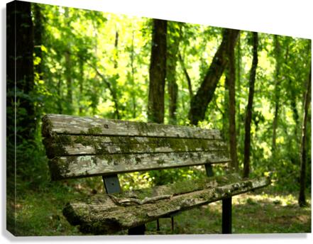 Lonely Bench Canvas Print