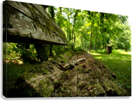 Lonely Bench 3 Canvas Print