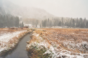 Fall Snow