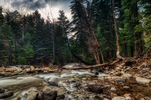 Mountain Stream 2 Print